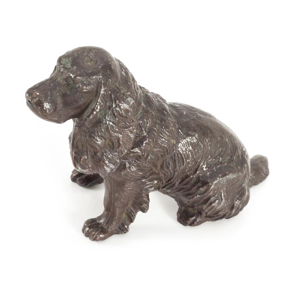Brown Copper Spaniel (A+D)