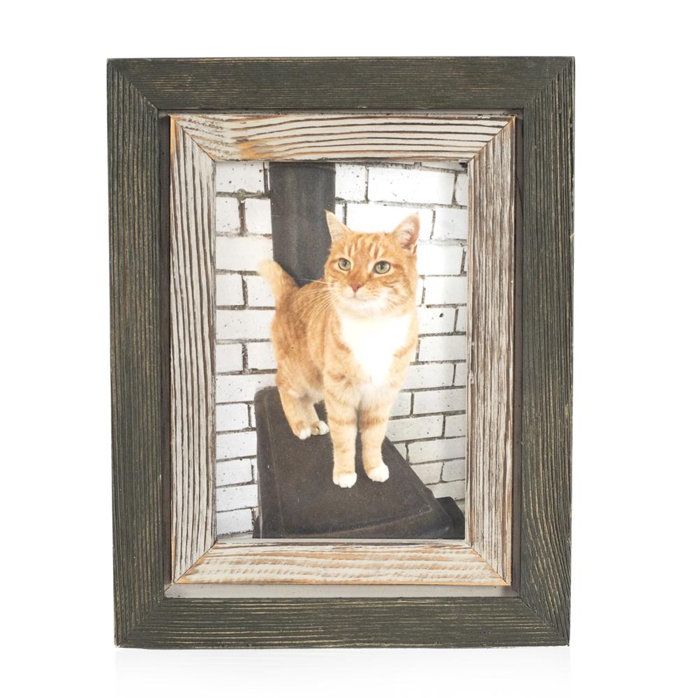 00.44 (A+D) Black Framed Photograph of a Cat