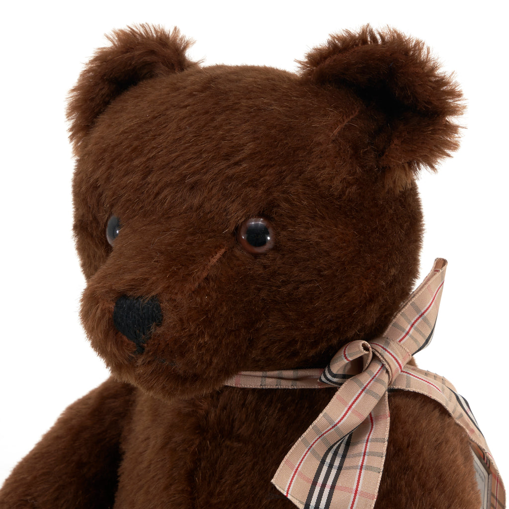 Brown Teddy Bear (A+D)