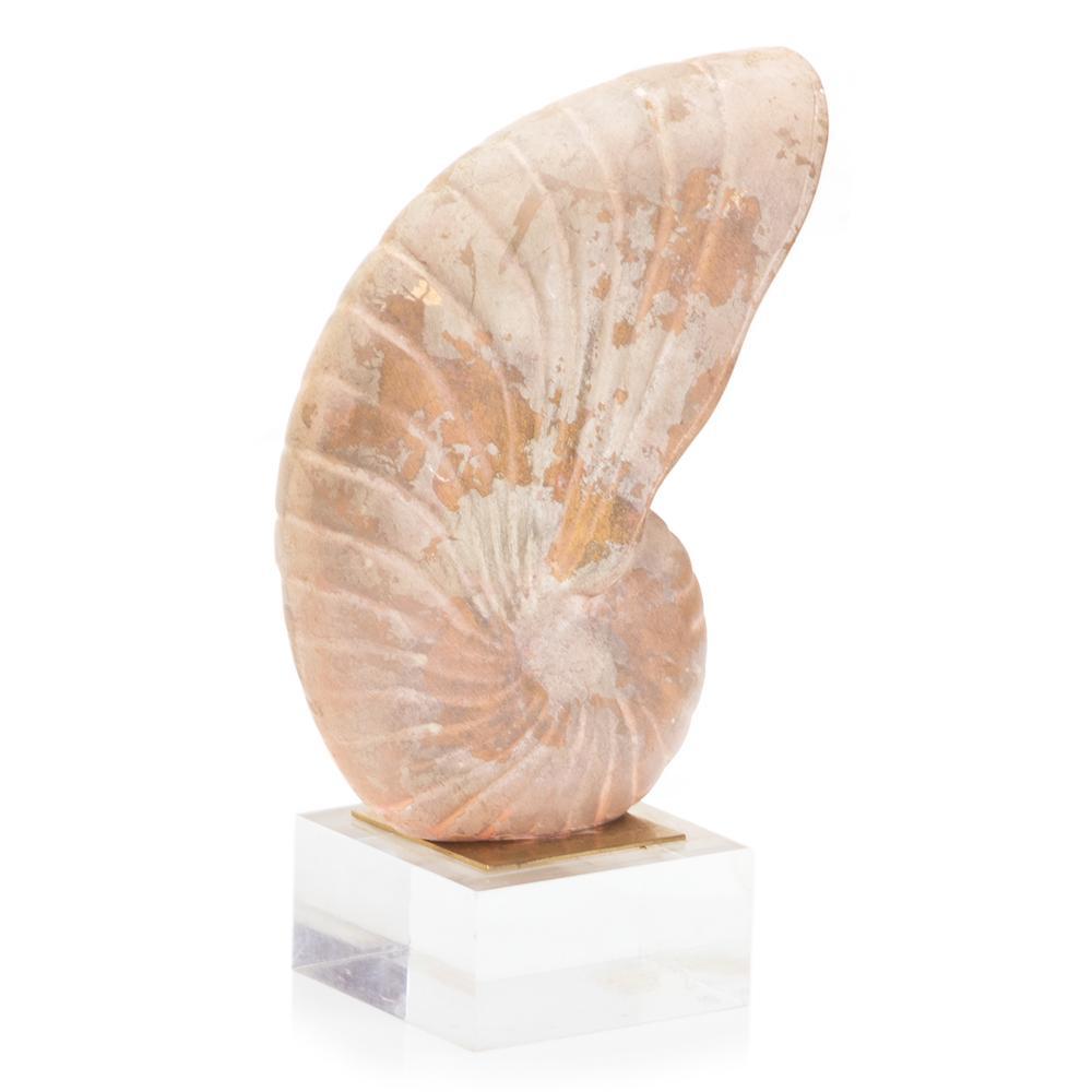 Beige Large Standing Shell Sculpture