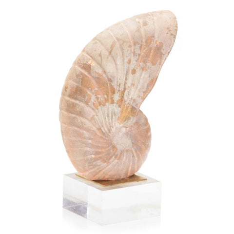 Beige Large Standing Shell Sculpture