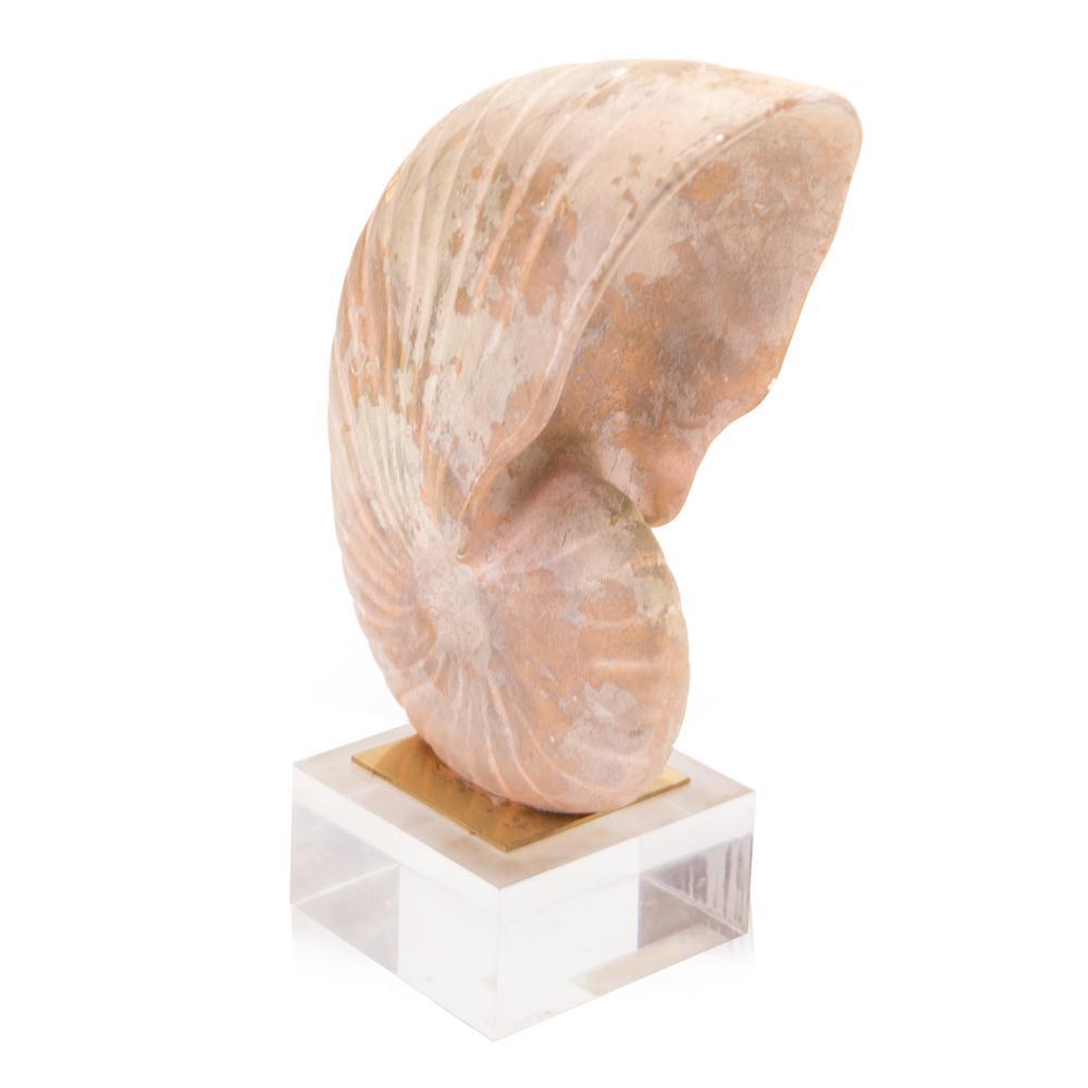 Beige Large Standing Shell Sculpture