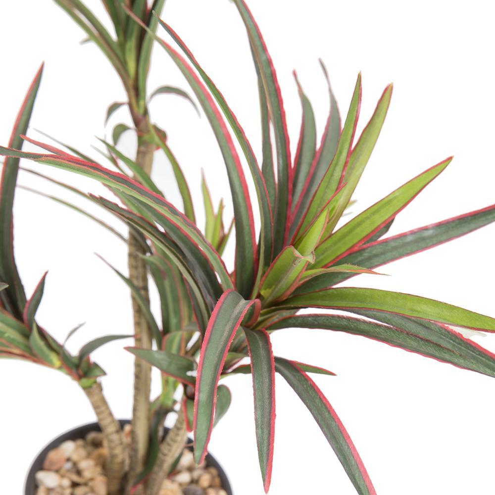 Tropical Plant In Vase