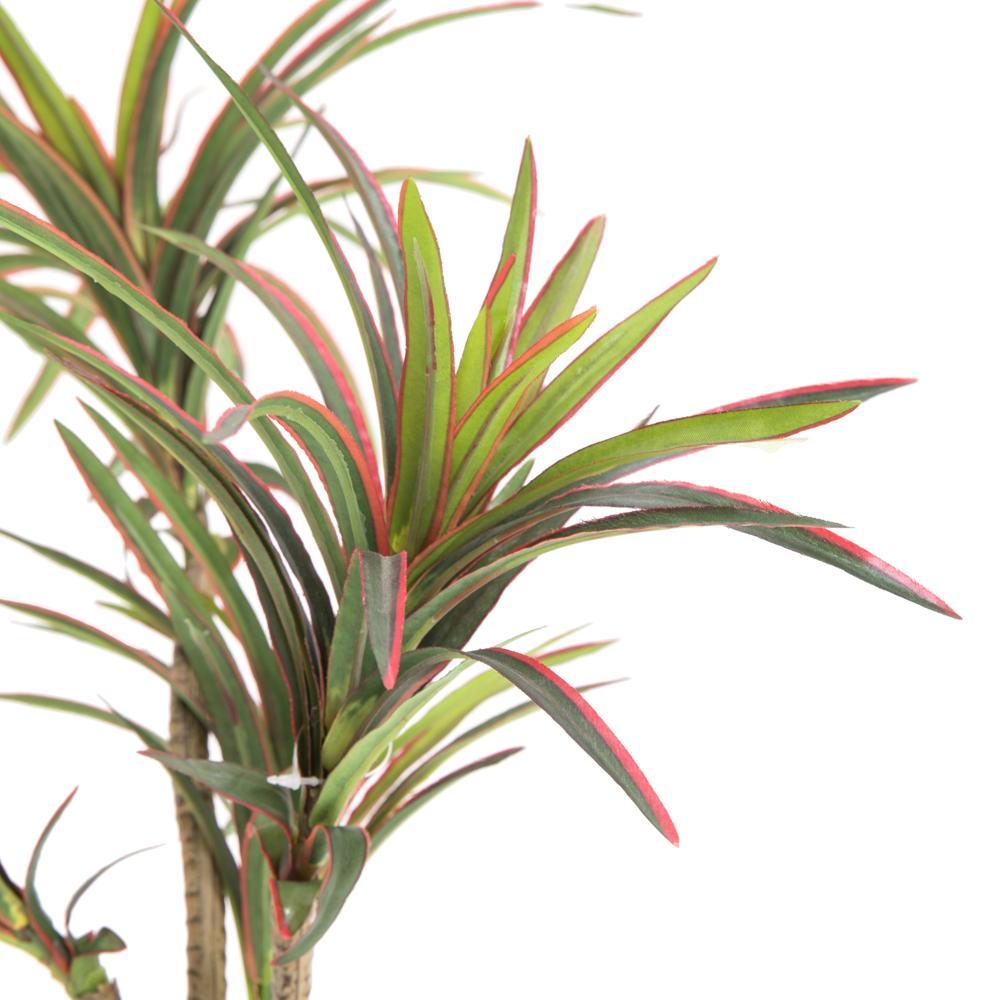 Tropical Plant In Vase