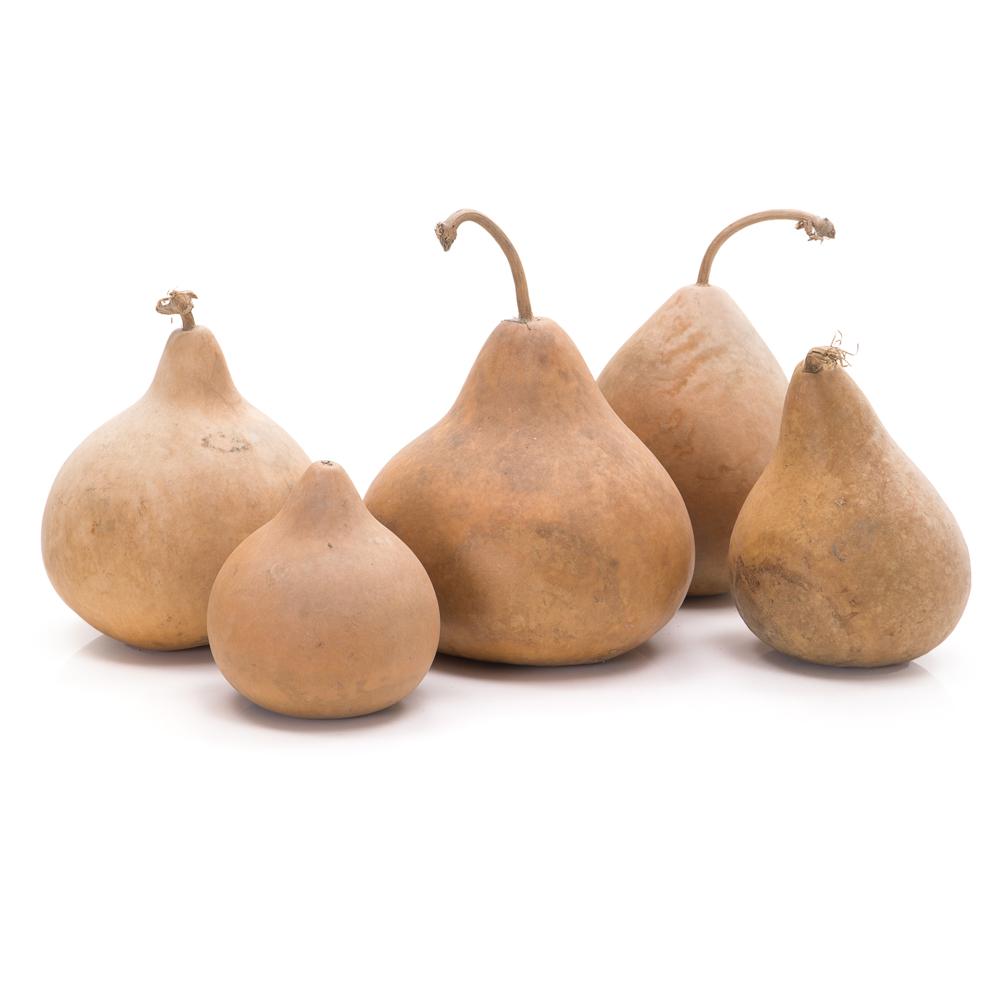 Wooden Gourds (A+D)