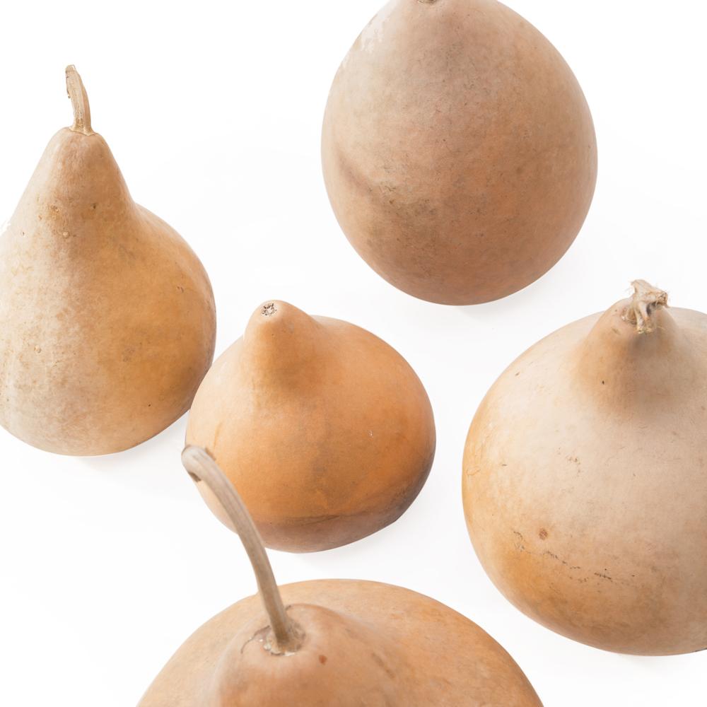 Wooden Gourds (A+D)