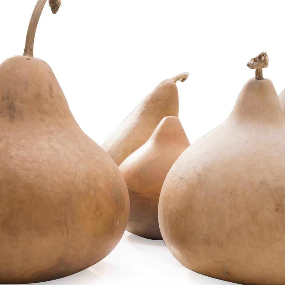 Wooden Gourds (A+D)
