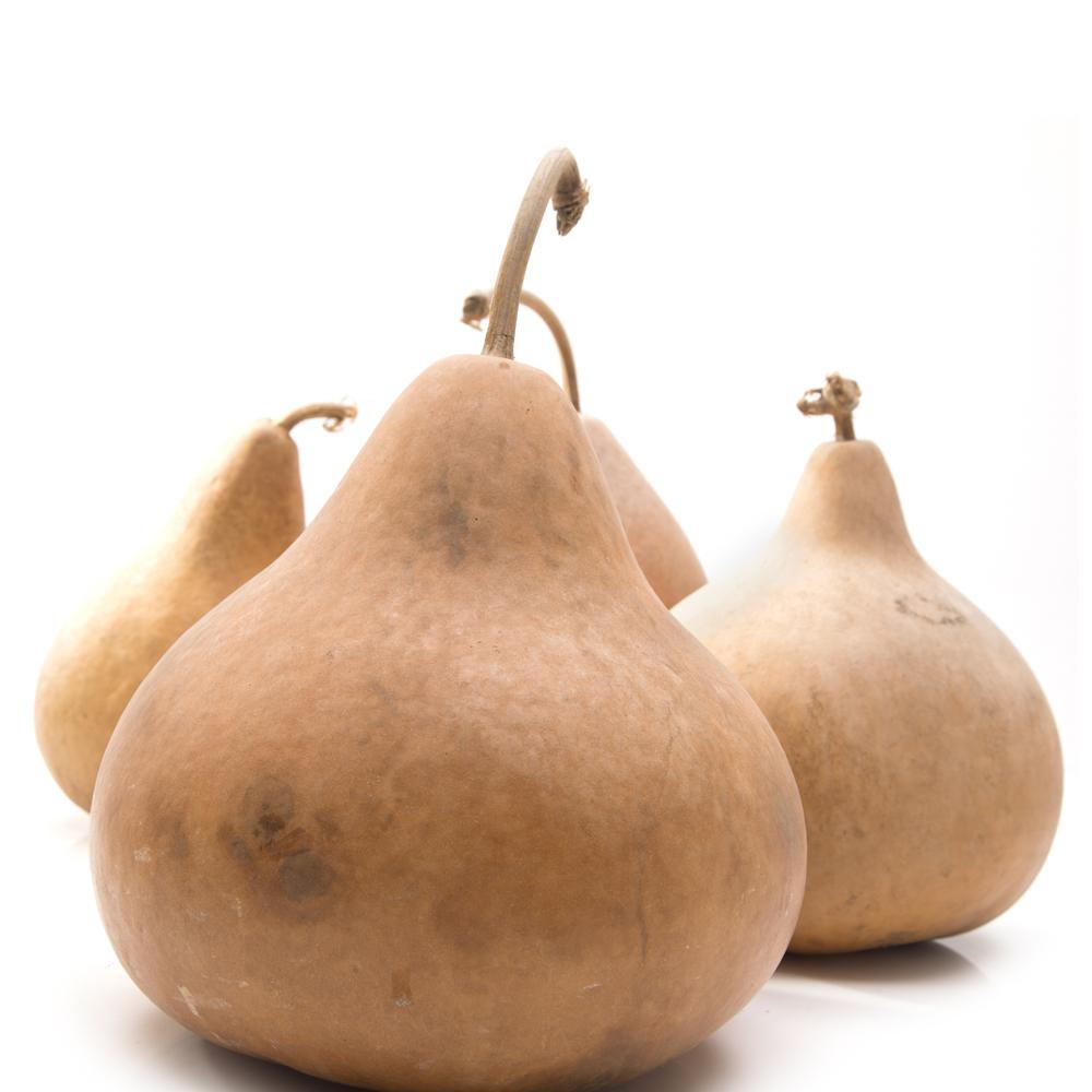 Wooden Gourds (A+D)