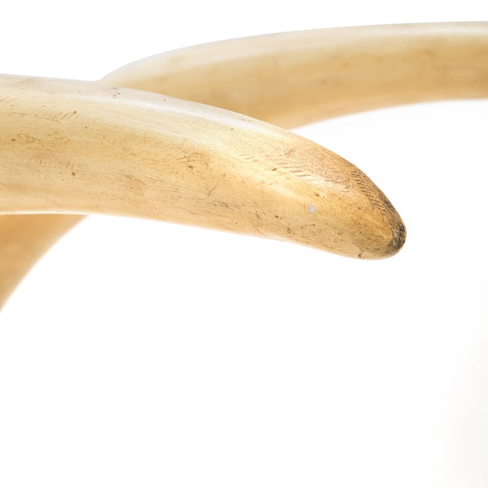 Pair of Tusks Standing Floor Sculptures