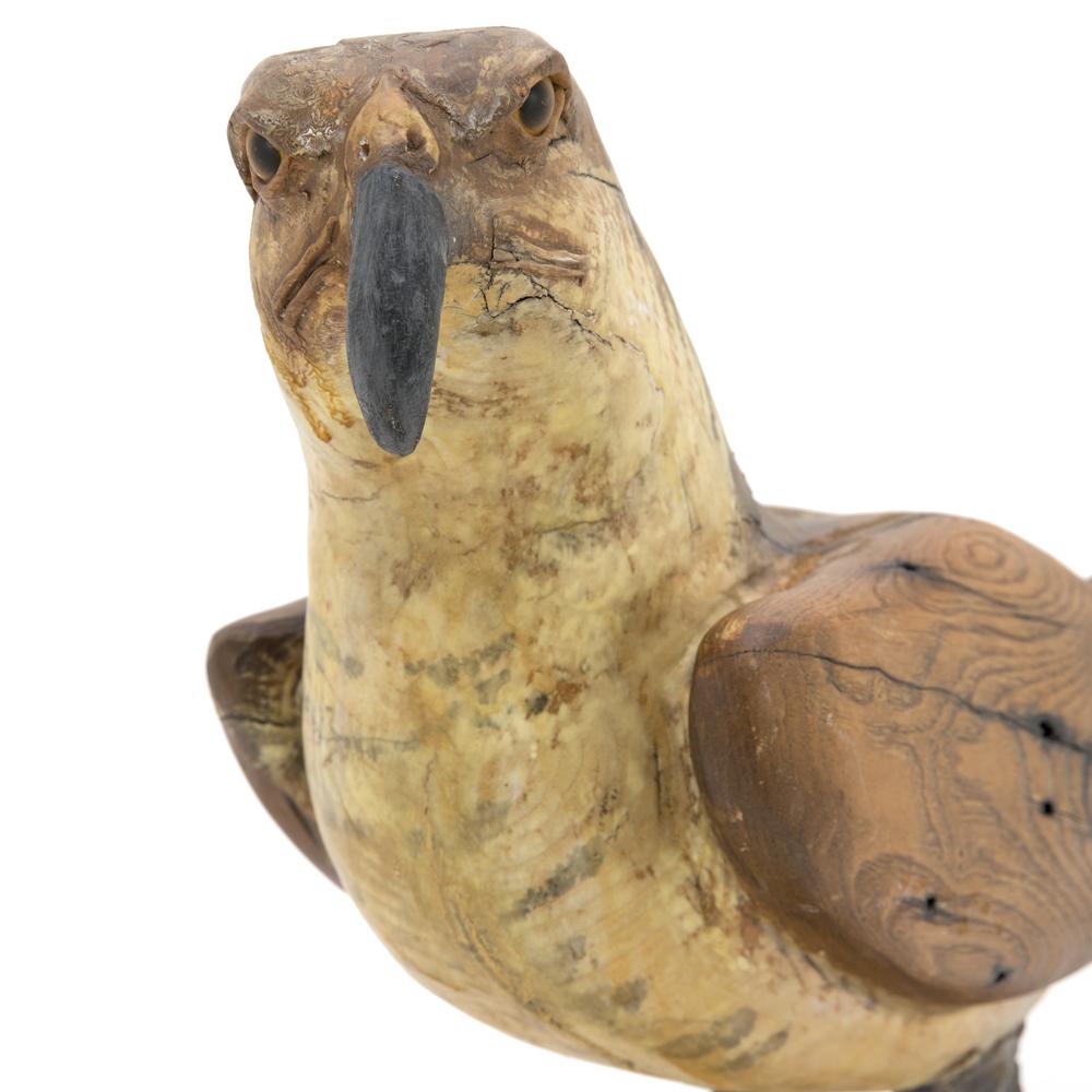 Wood Carved Bird of Prey (A+D)
