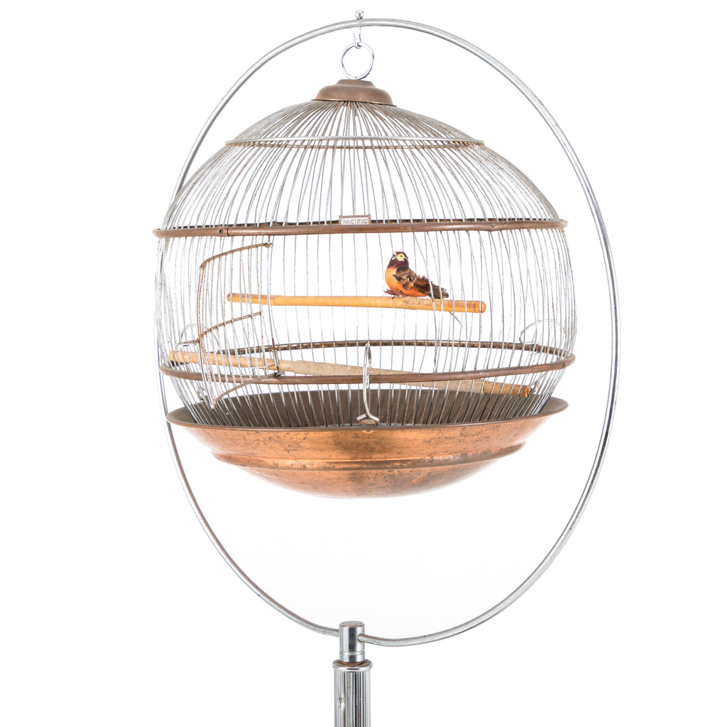 Brass Birdcage Planter