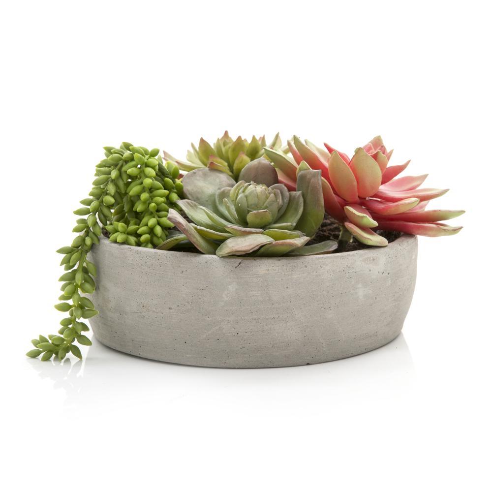 Grey Ceramic Pot with Green and Pink Succulent (A+D)
