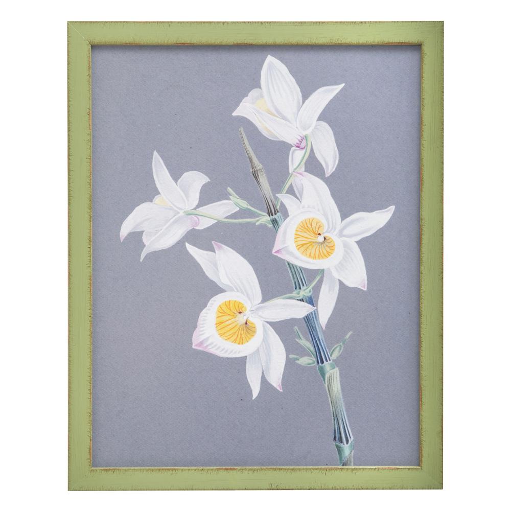 0989 (A+D) Orchid Green B