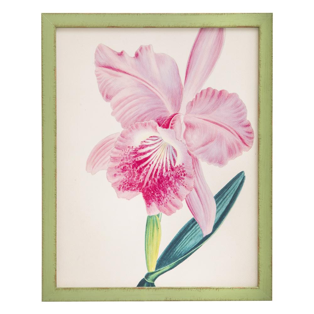 0991 (A+D) Orchid Green D