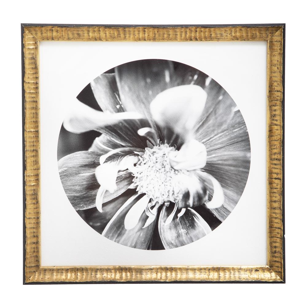 0982 (A+D) Flower Circle Gold C