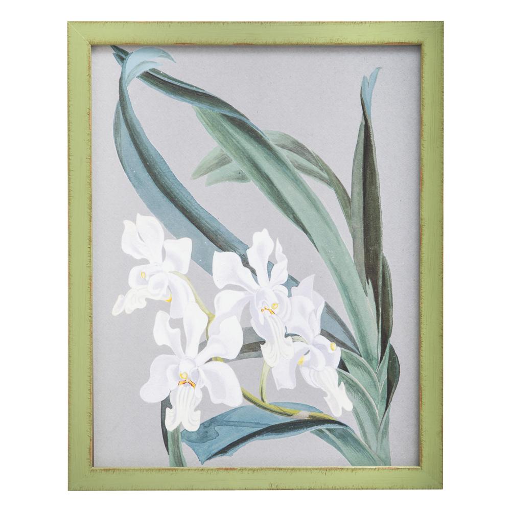 0992 (A+D) Orchid Green E