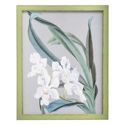 0992 (A+D) Orchid Green E
