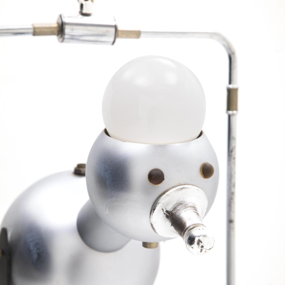 Chrome Brid on a Swing Pendant Lamp