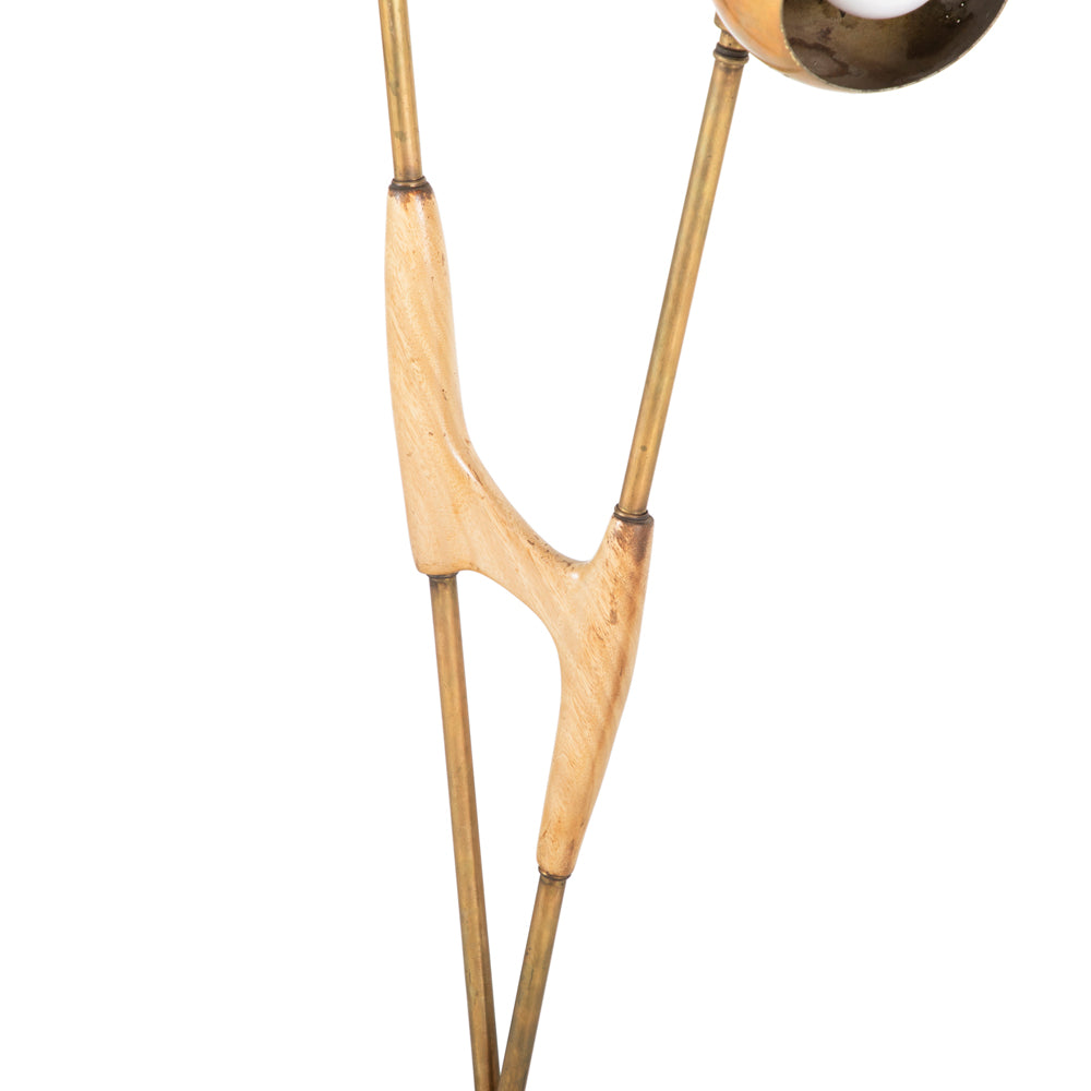 Wood and Brass Floor Lamp