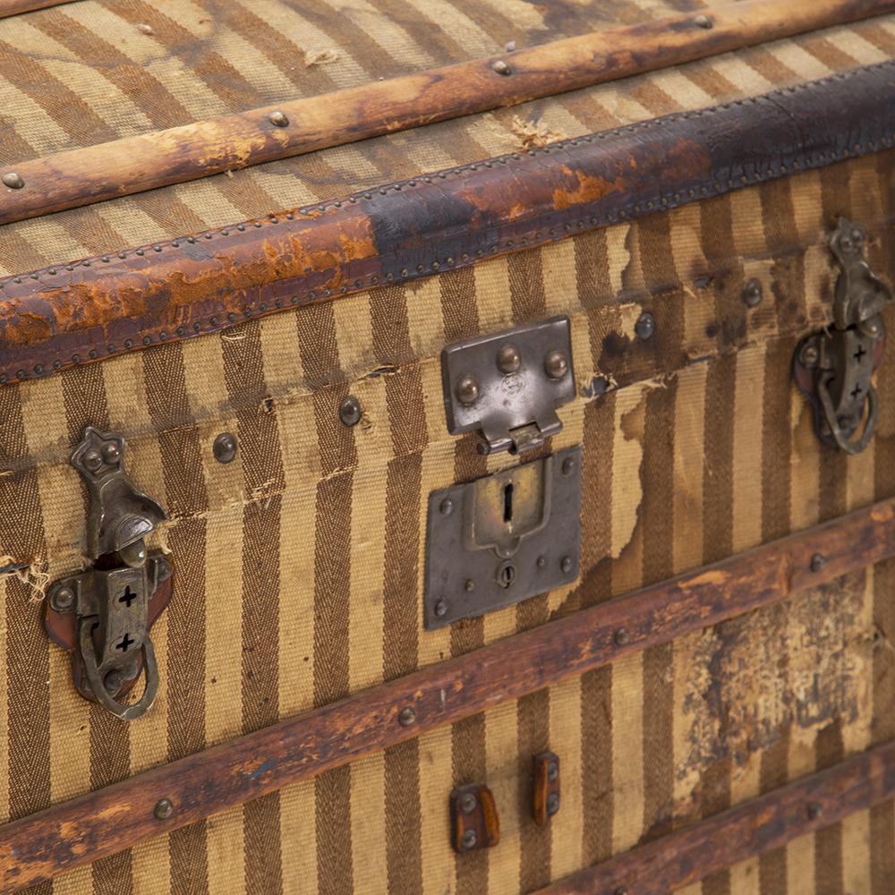 Trunk - Striped Cilley