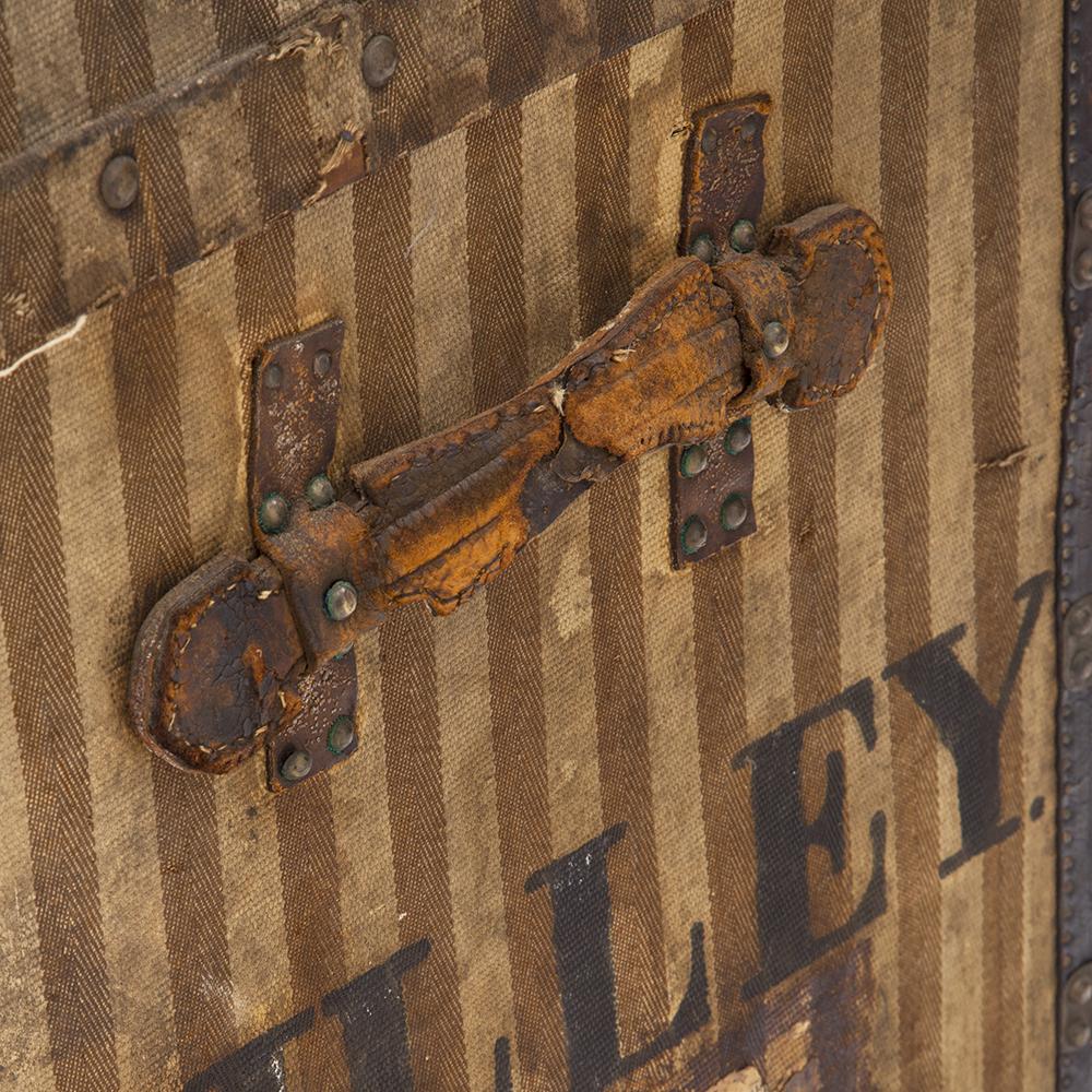 Trunk - Striped Cilley