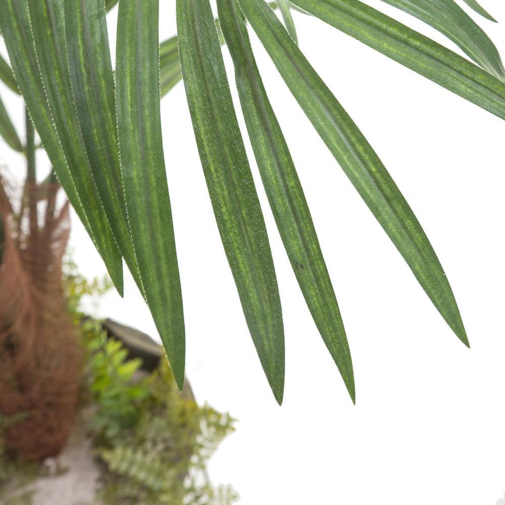 Palm Tree