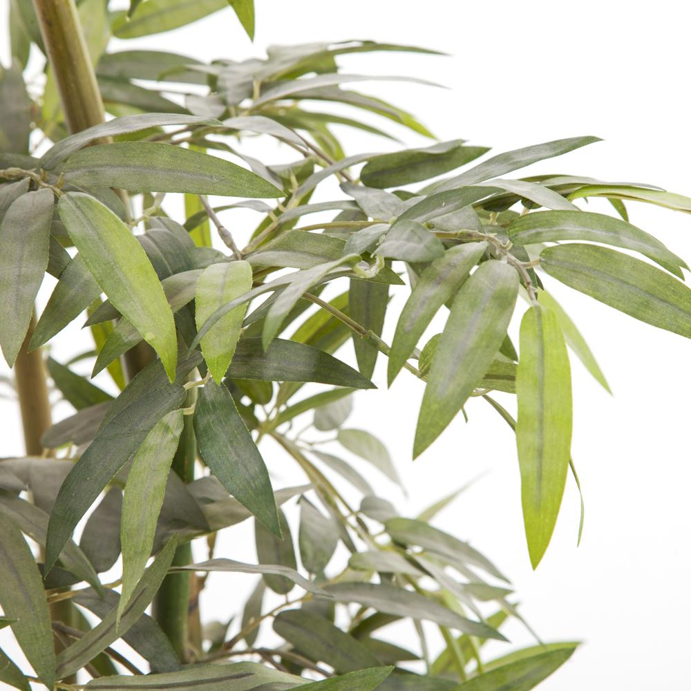 Bamboo Table Plant