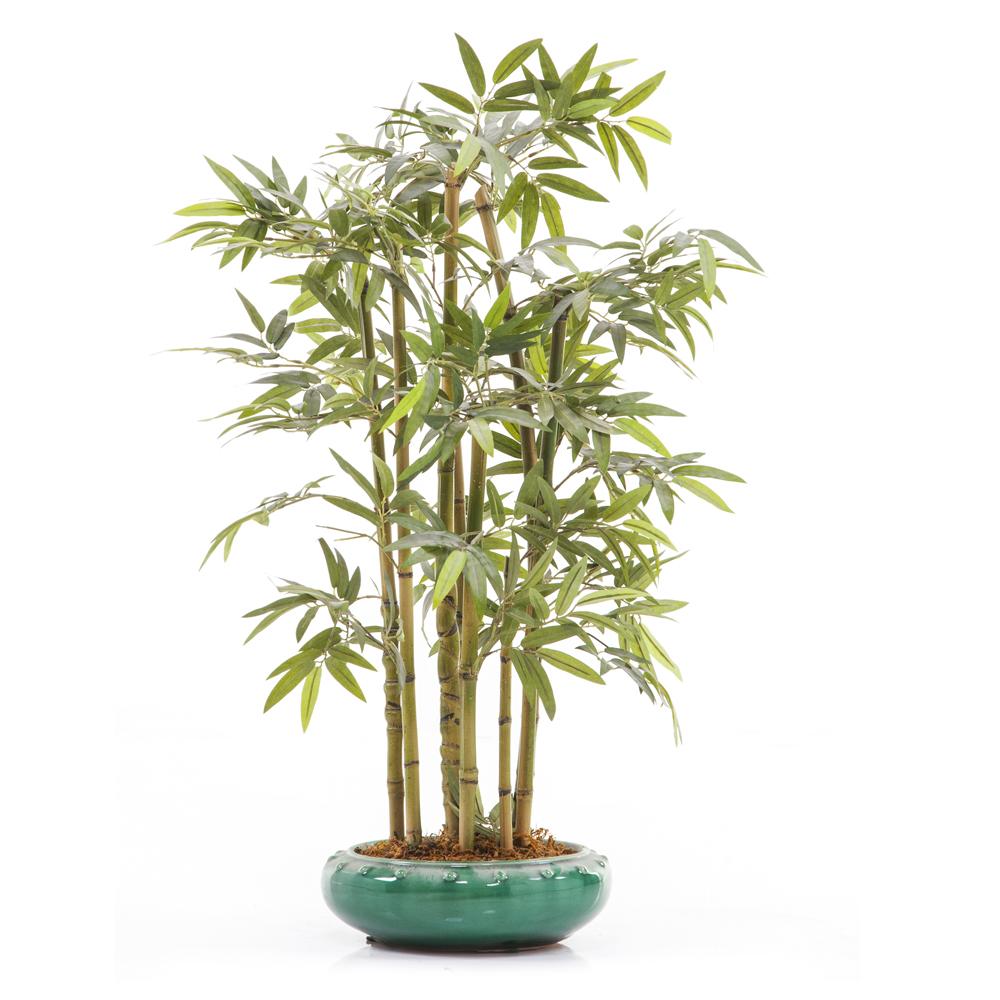 Bamboo Table Plant
