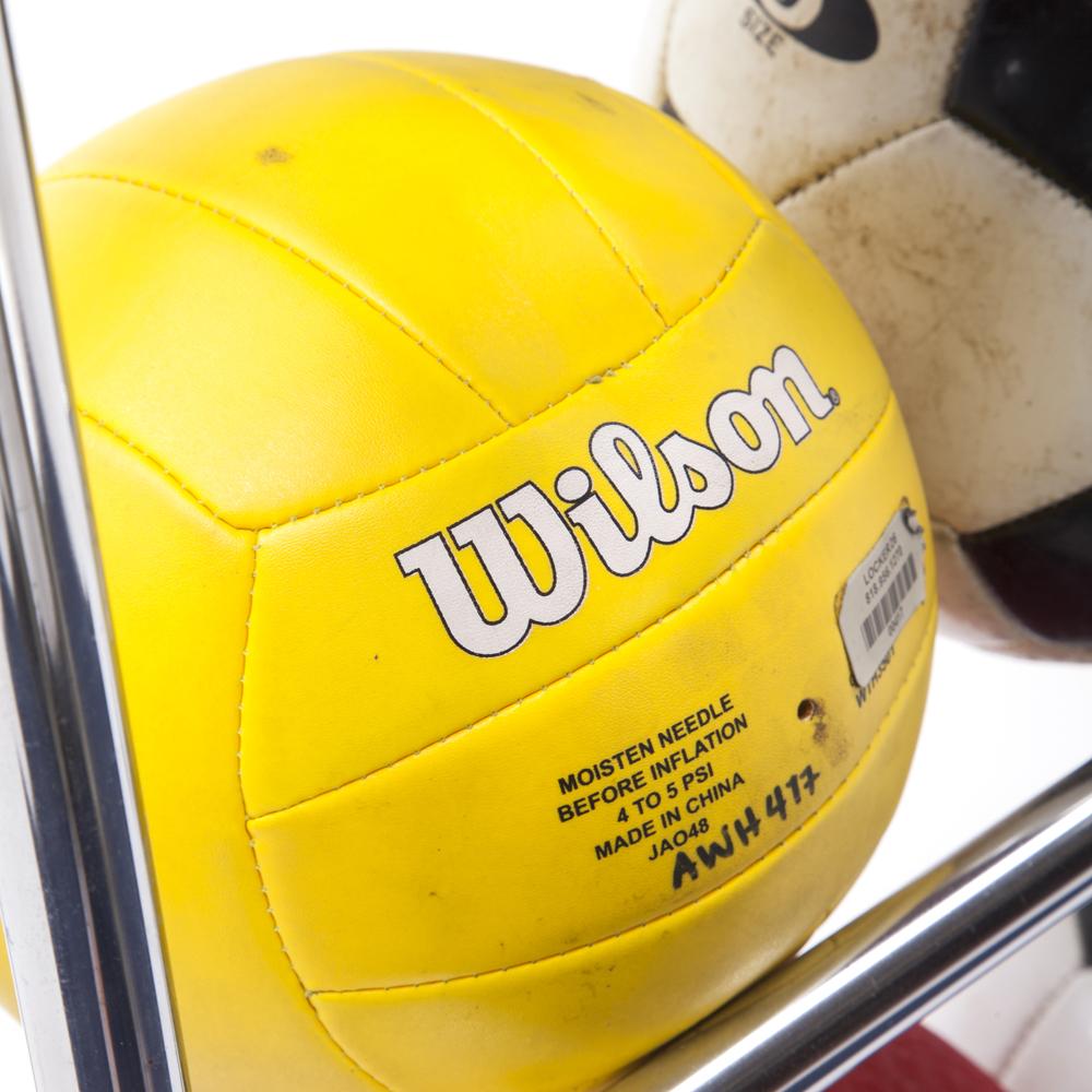 Sports Balls on Cart
