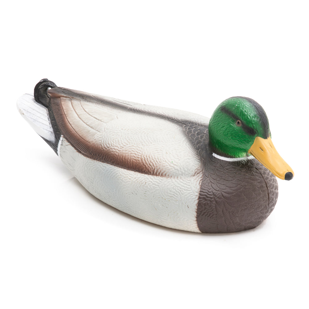 Painted Mallard Duck (A+D)