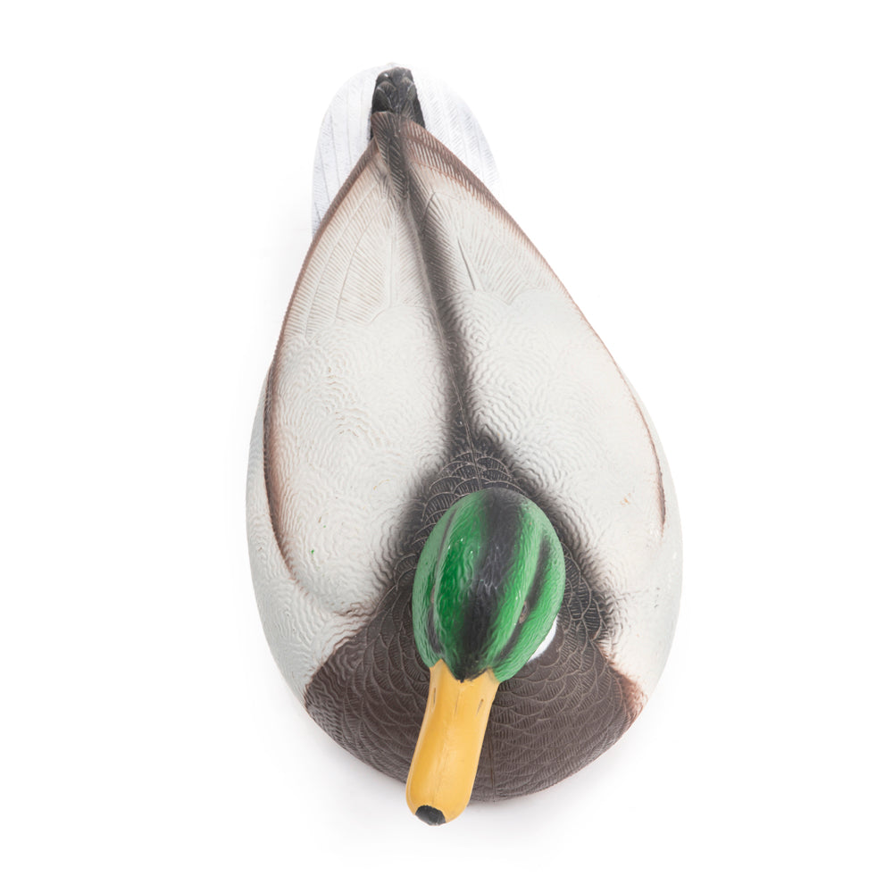 Painted Mallard Duck (A+D)