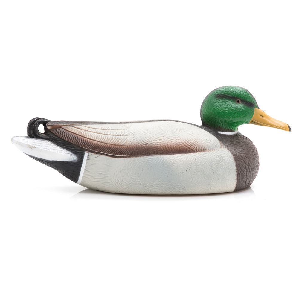 Painted Mallard Duck (A+D)