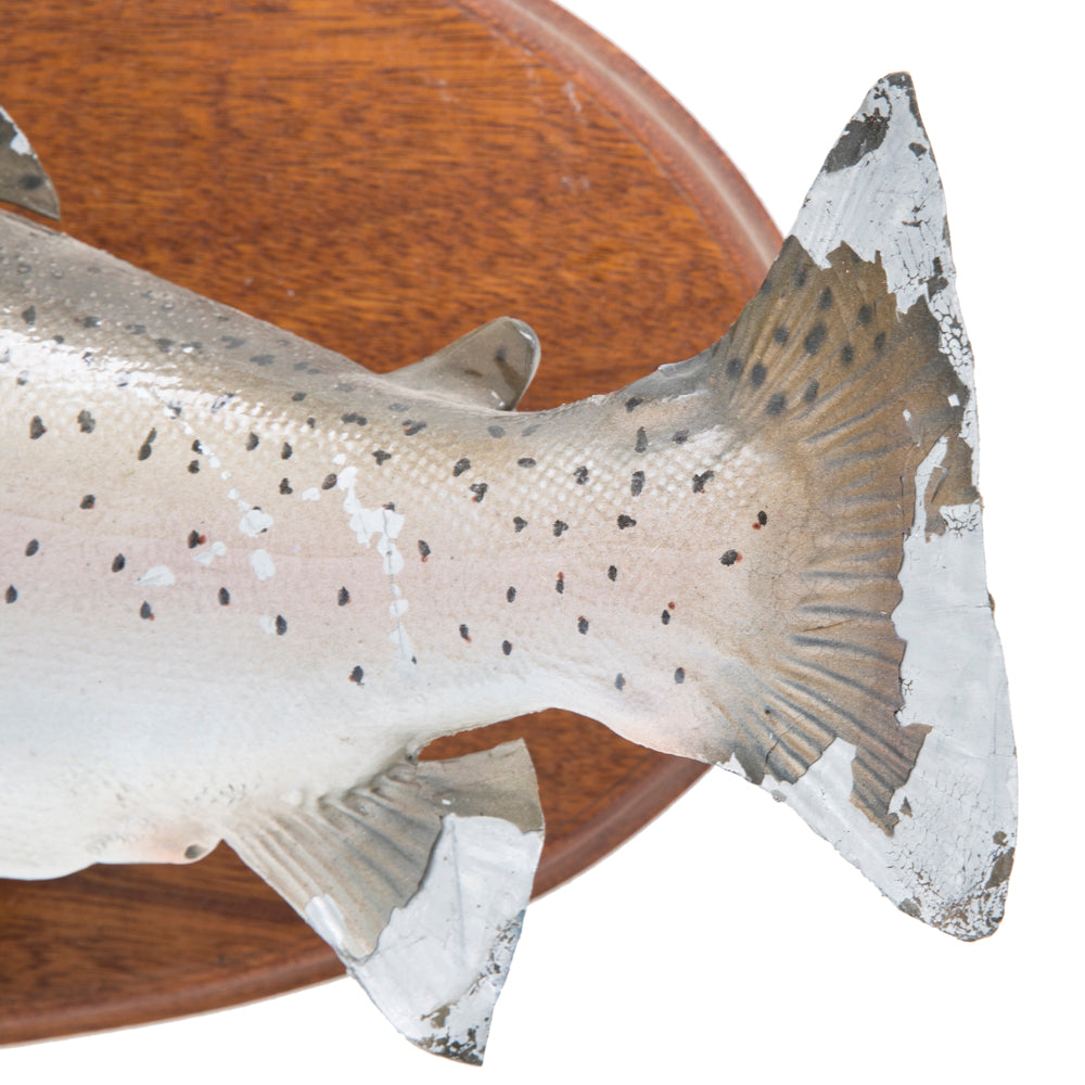 Mounted Fish Wall Plaque
