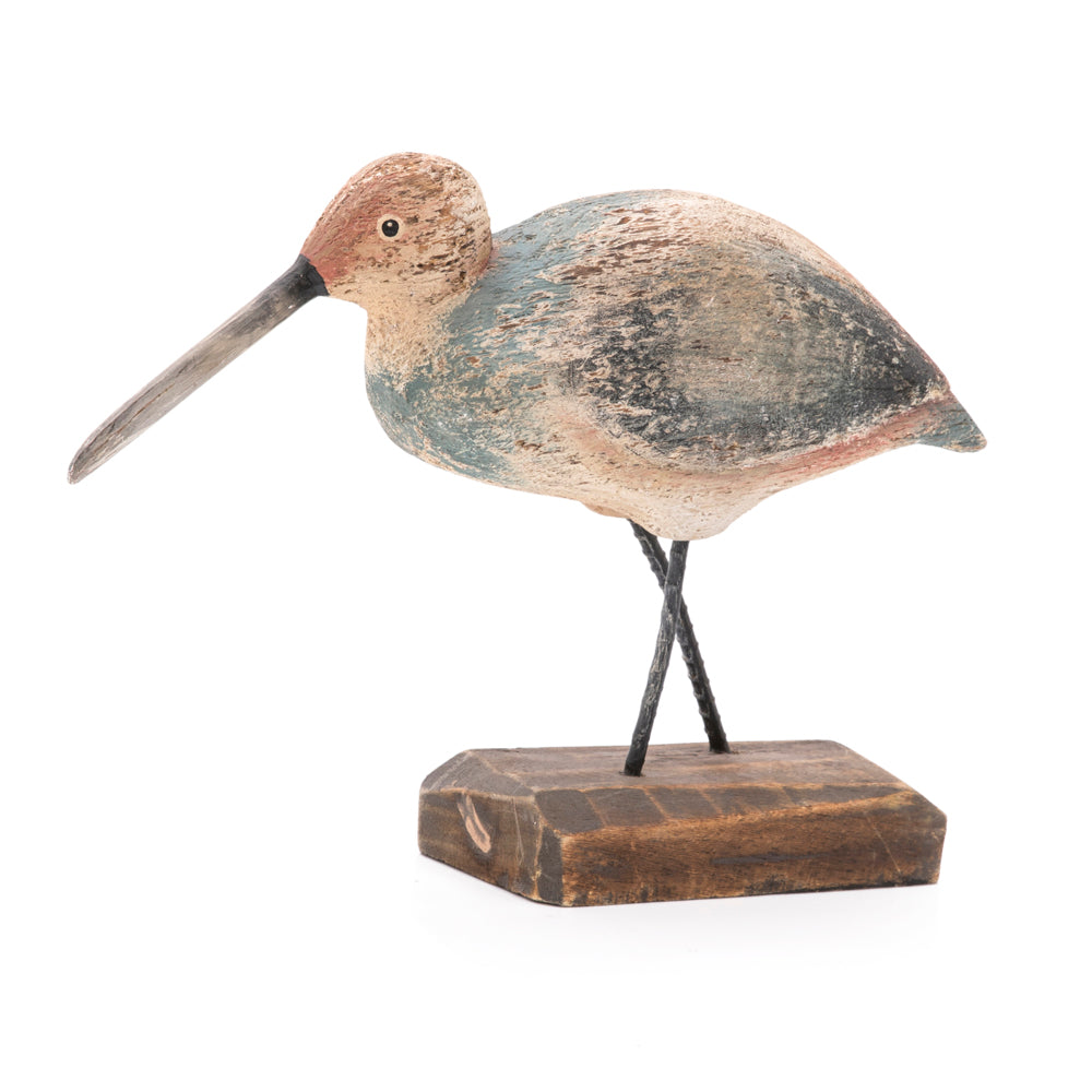 Kiwi Bird Sculpture (A+D)