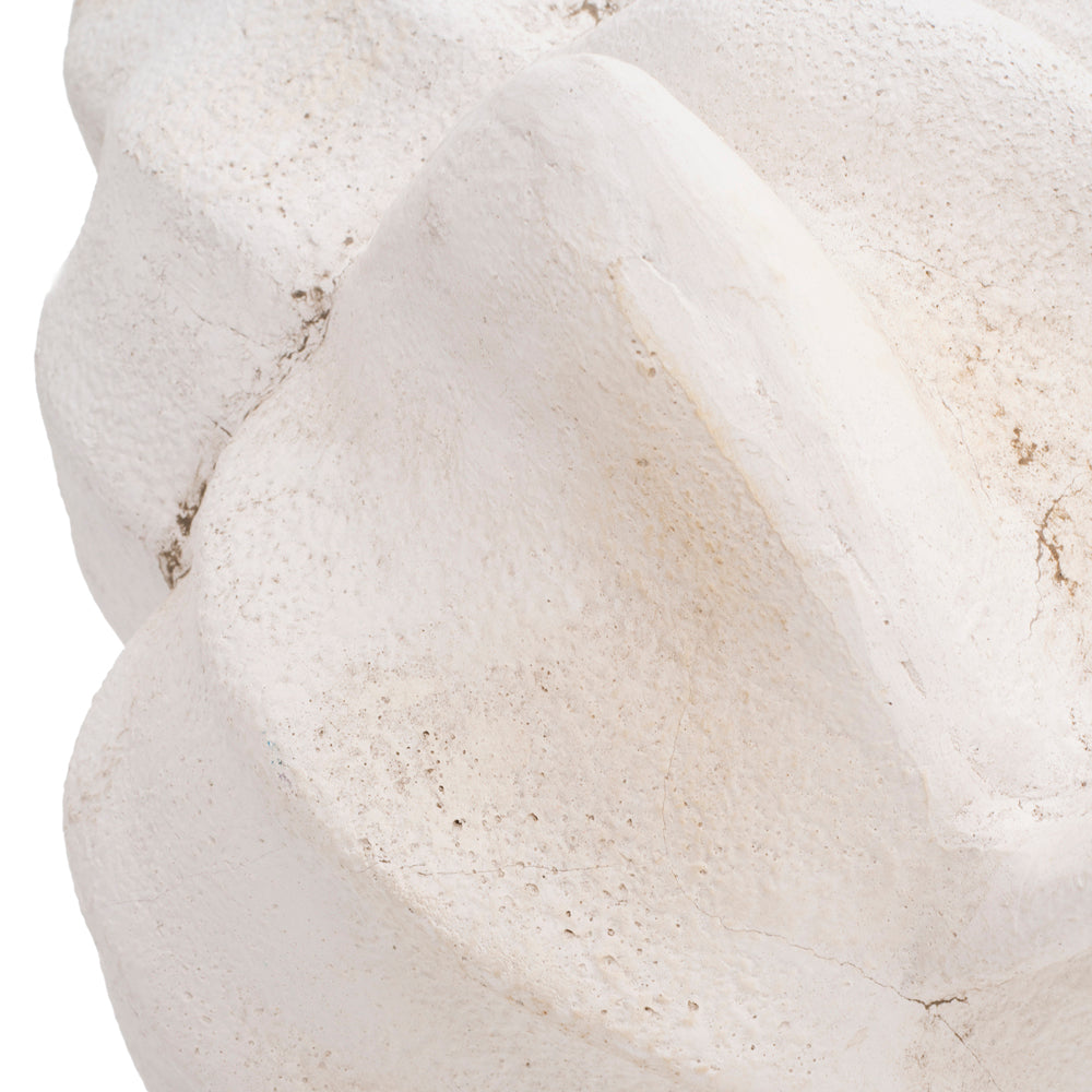 Off-White Oversized Seashell Sculpture (A+D)