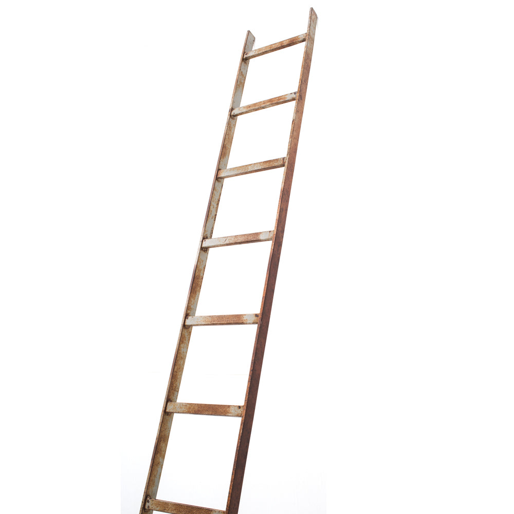 Long Rustic Metal Ladder
