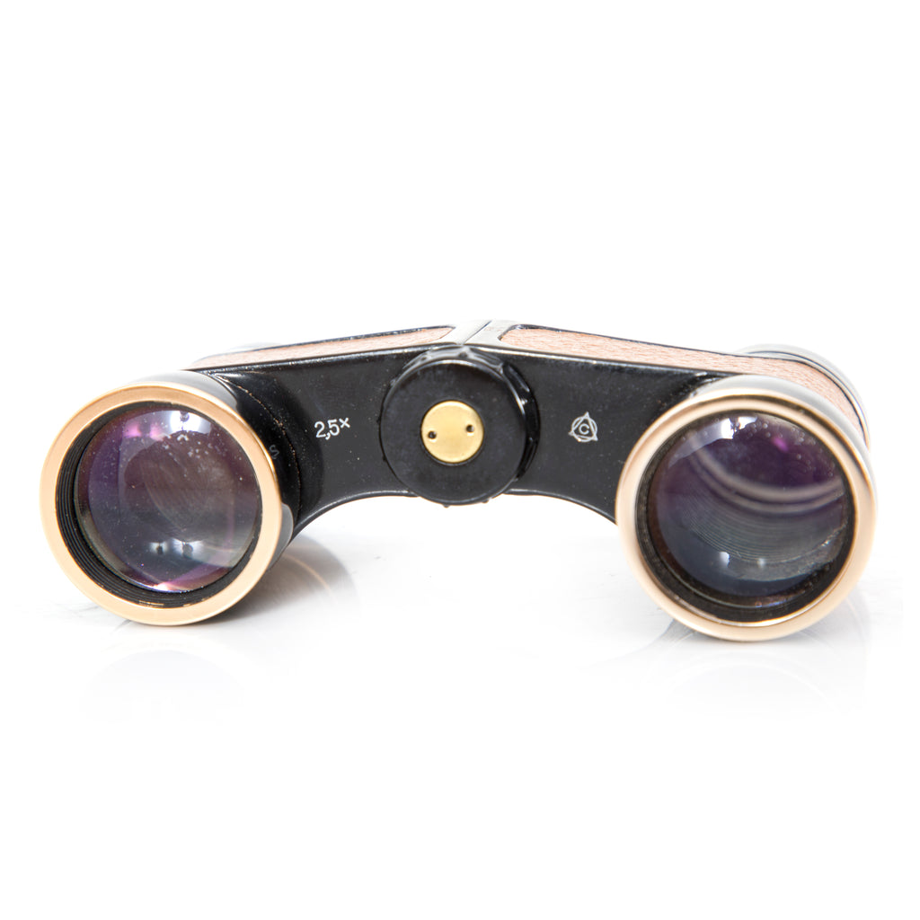 Black & Tan Vintage Binoculars with Case (A+D)