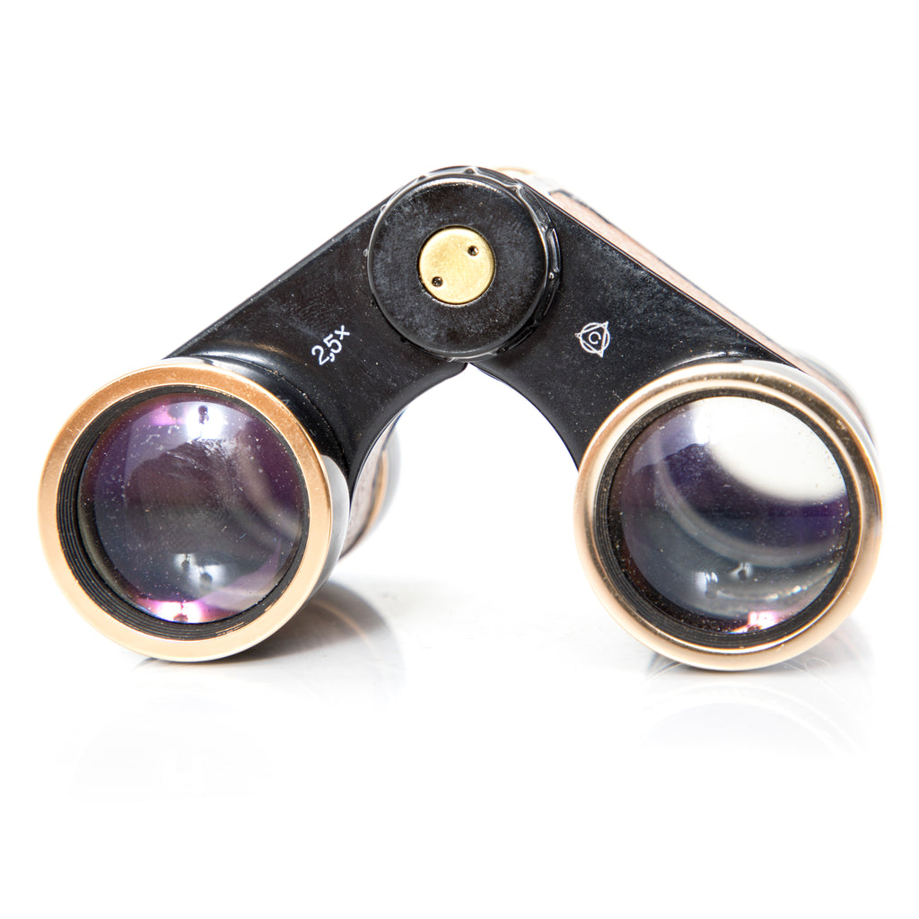 Black & Tan Vintage Binoculars with Case (A+D)