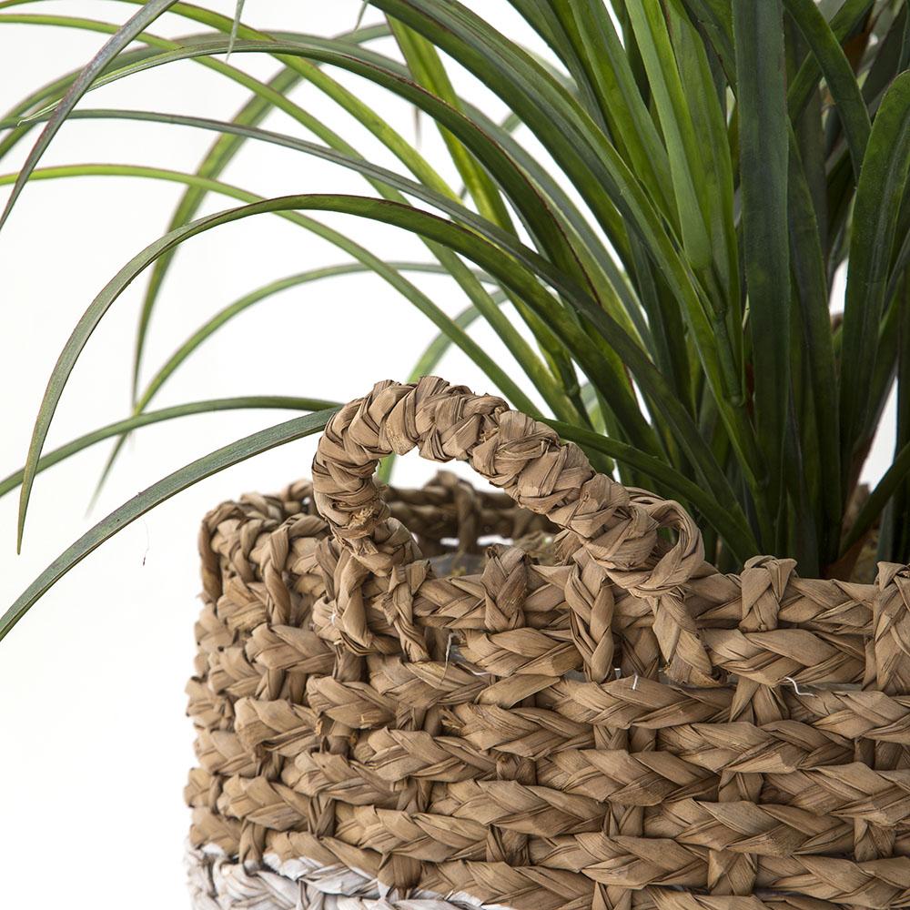 Grey and Brown Wicker Basket with Palm Plant (A+D)