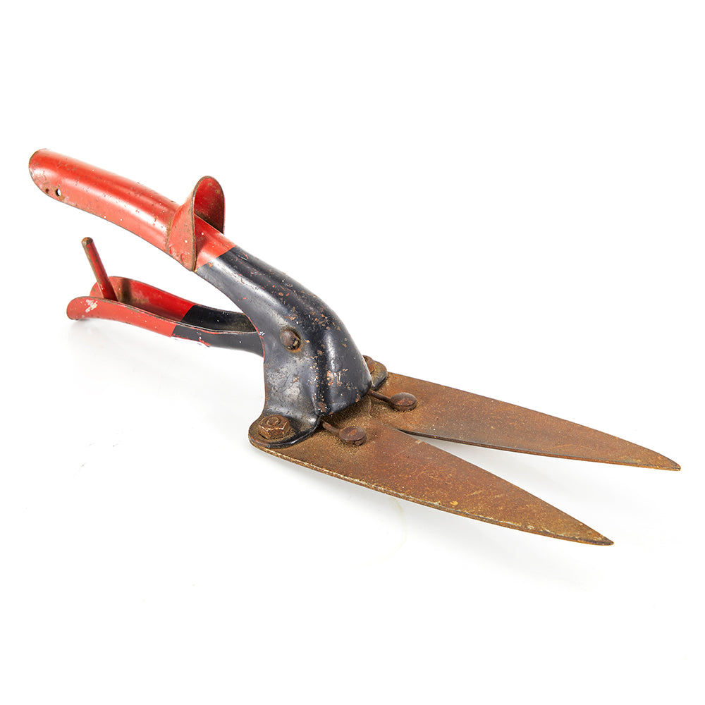Multi Rusty Garden Shears (A+D)