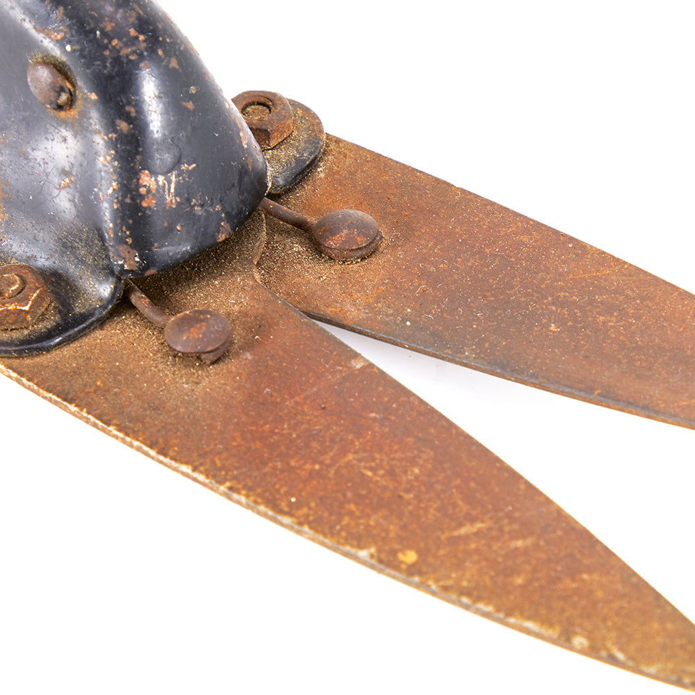 Multi Rusty Garden Shears (A+D)