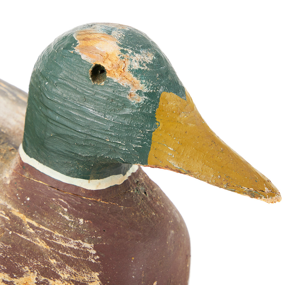 Brown Wooden Mallard (A+D)