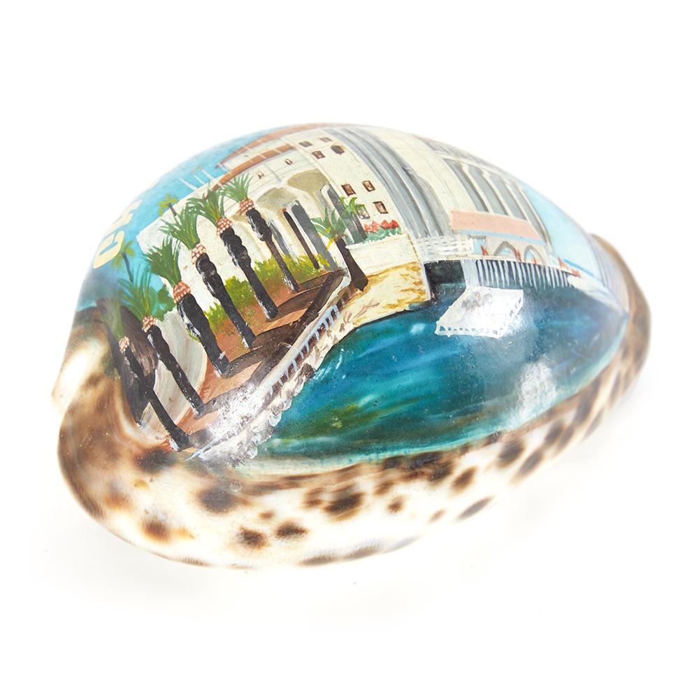 Blue Painted Sea Shell (A+D)