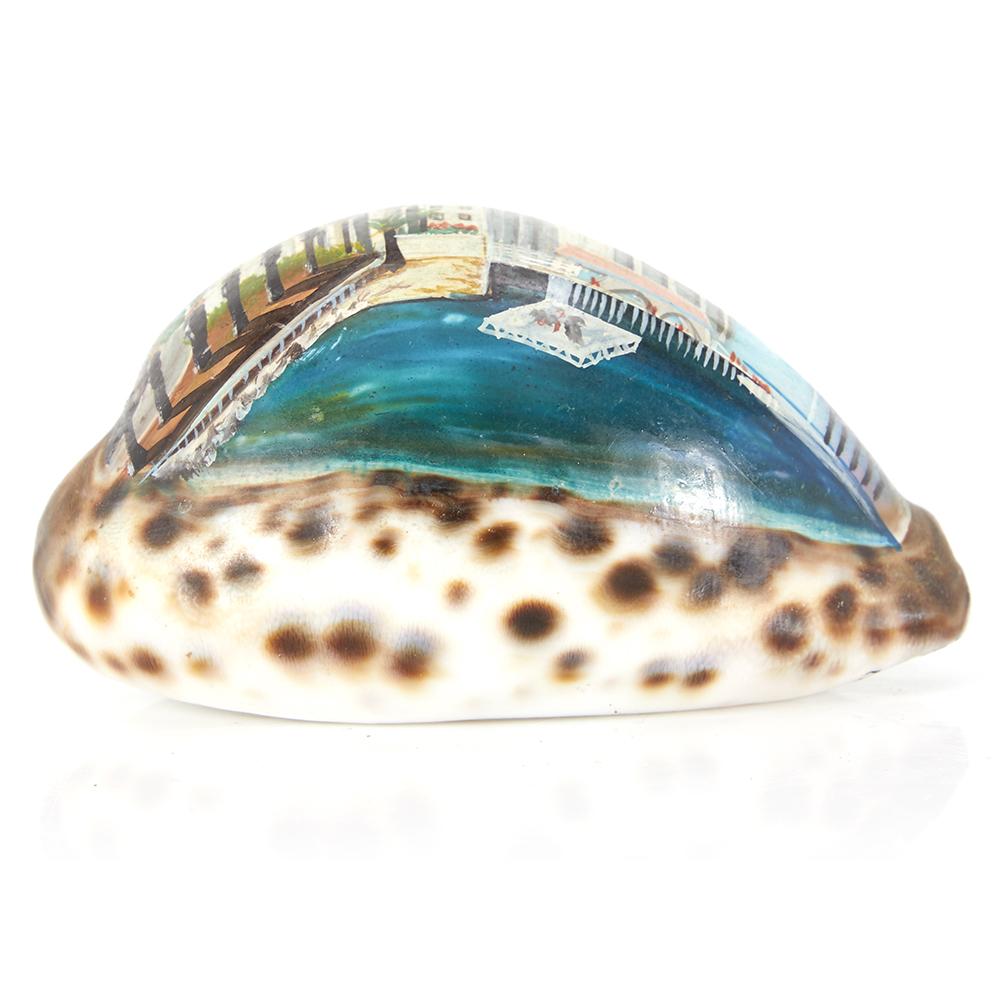 Blue Painted Sea Shell (A+D)