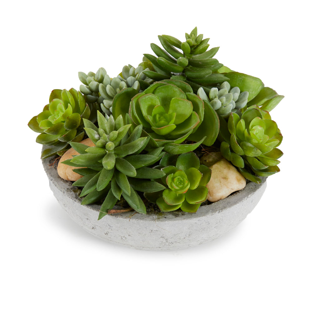 Green Faux Succulent plant (A+D)