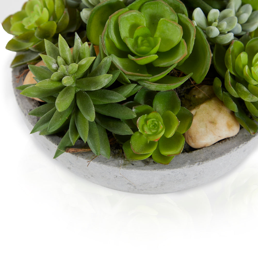 Green Faux Succulent plant (A+D)