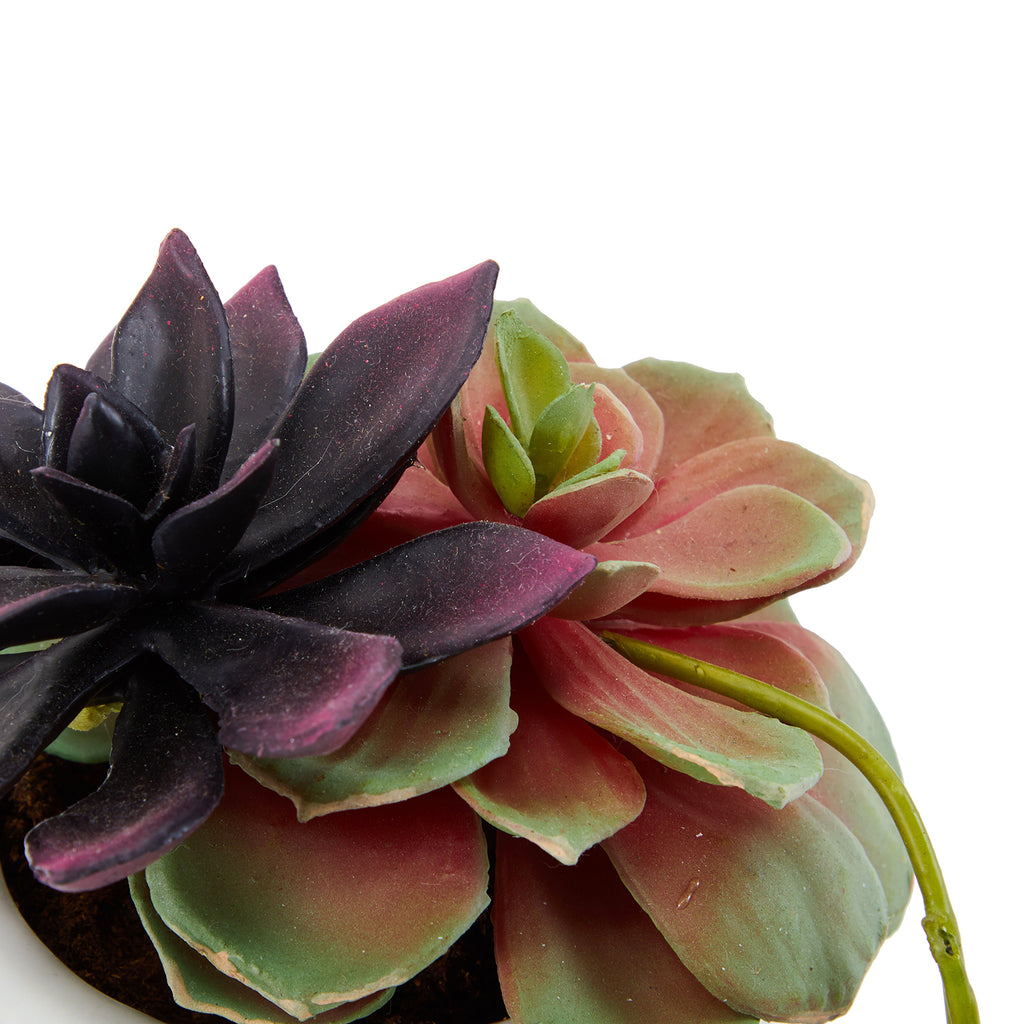 White Ceramic Faux Succulent Pot (A+D)