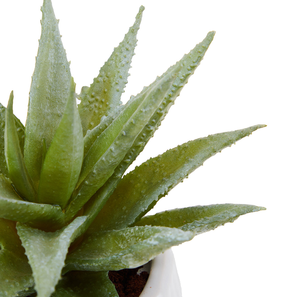 White Ceramic Faux Succulent Pot (A+D)
