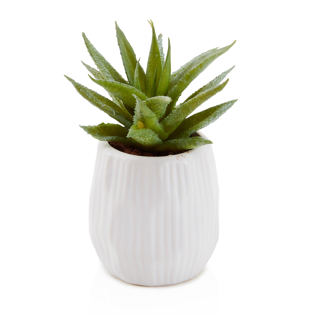 White Ceramic Faux Succulent Pot (A+D)