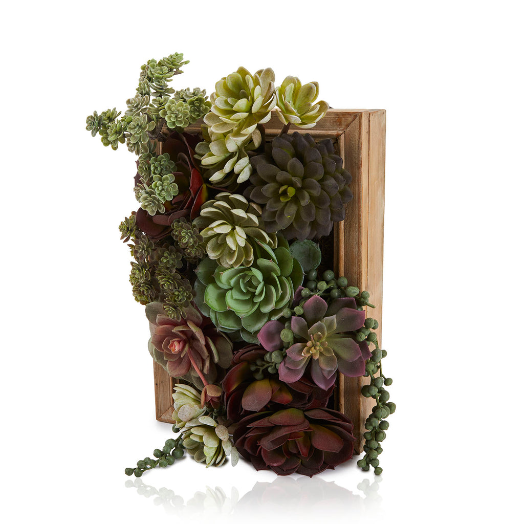 Green Framed Succulents (A+D)